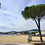 Lägenhet Les Pins Dores-2 By Interhome